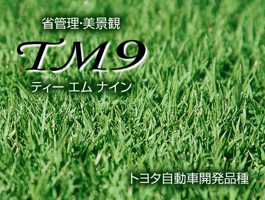 トヨタ人工芝TM９